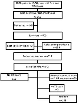 Neuroimaging Parameters Are Not Associated With Chronic Post-stroke Fatigue in Young Stroke Patients